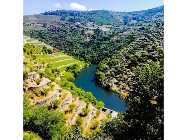 Best of Douro Valley Wine Full Day Private Tour