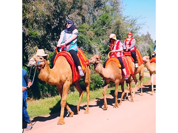 5 Valleys Atlas mountains day trip from Marrakech with camel ride