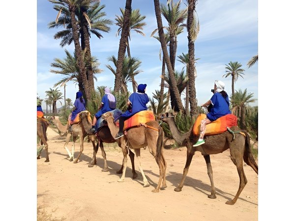 Marrakech Camel Ride at the Palm Groves