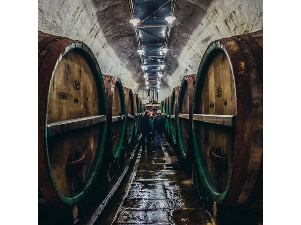 Private Tour to Pilsner Urquell from Prague