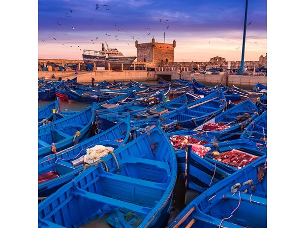 Full Day Trip To Essaouira From Marrakech