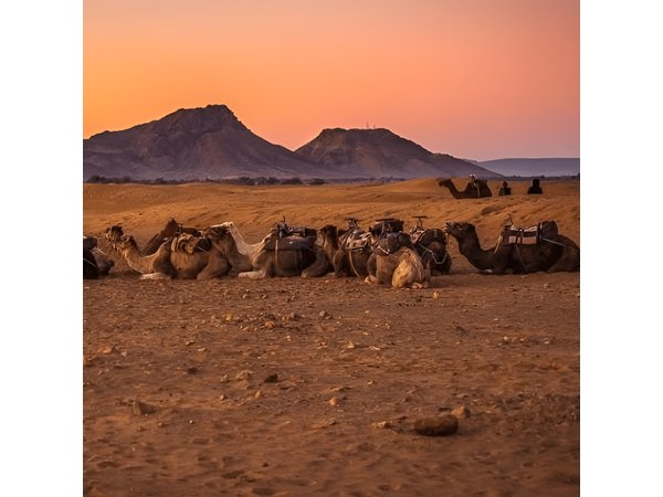 2 Days 1 Night Amazing Zagora Desert Tour From Marrakech