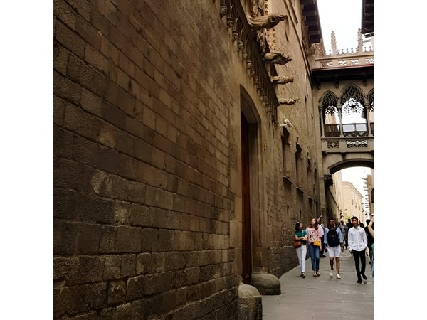 Walking tour of the Gothic Quarter of Barcelona + Cathedral