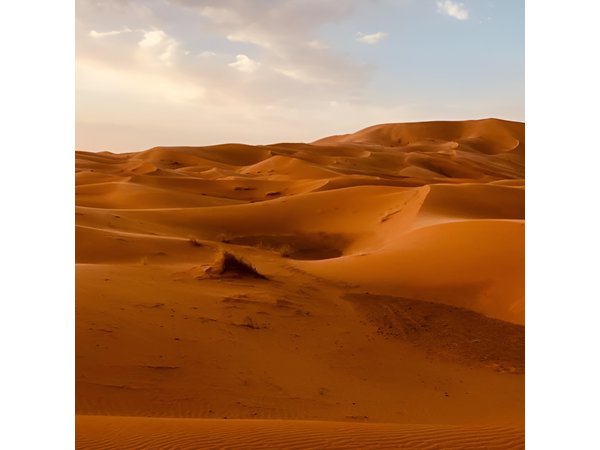 5 Days from Fes to Marrakech through the Sahara Desert