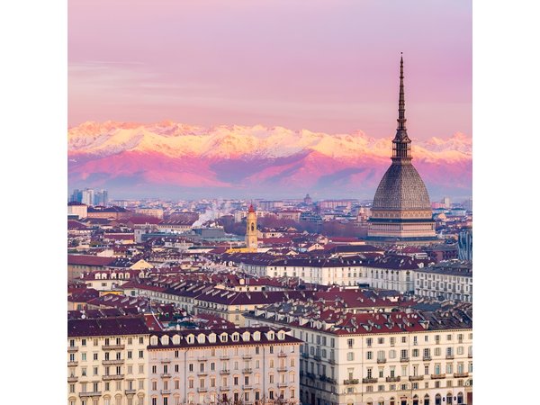 Turin, National Cinema museum and Mole with elevator Guided tour