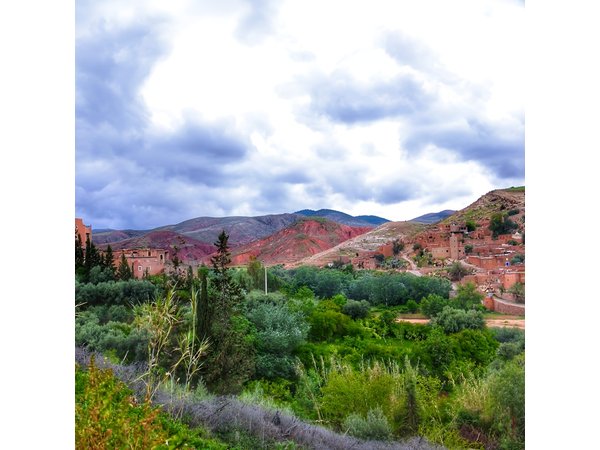 Small-Group Tour from Marrakech to the Atlas mountains