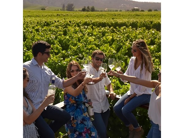 Casablanca Valley Experience