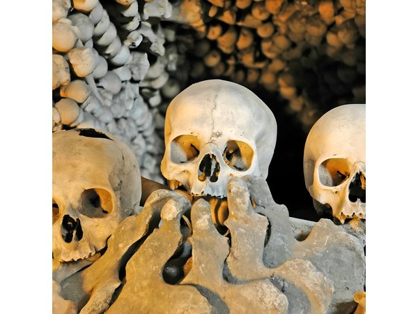 Crypts and Legends: Exploring the Dark Side of Rome