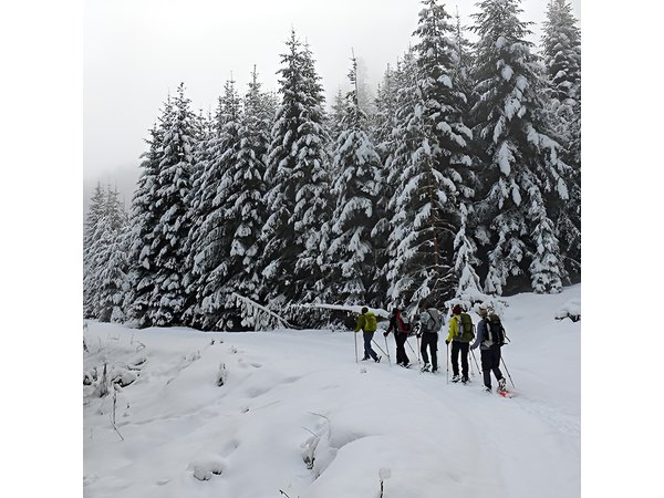 Full-day Vitosha Mountain Snowshoe Hiking Tour from Sofia