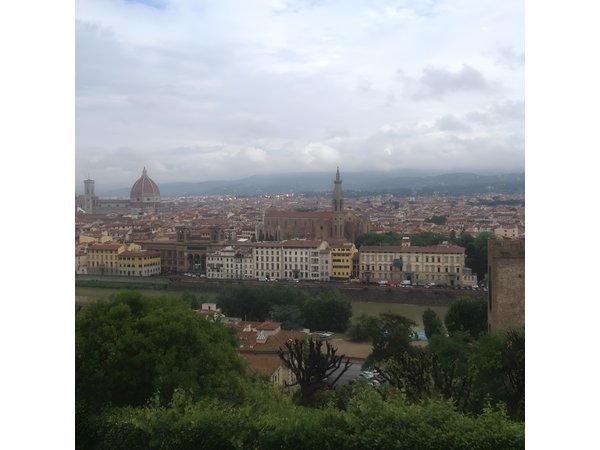 Pisa & Florence highlights shore excursion from Livorno port