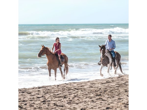 Rome: Horseback Riding on the Beach with aperitif