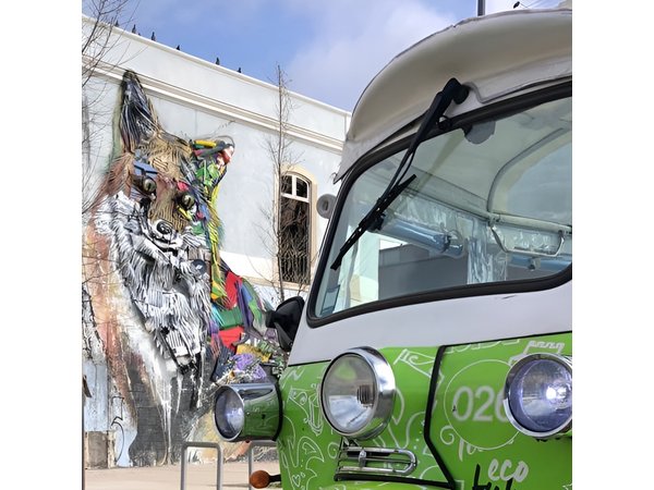 Private Lisbon Street Art Tuk Tuk Tour | Vhils, Bordalo II