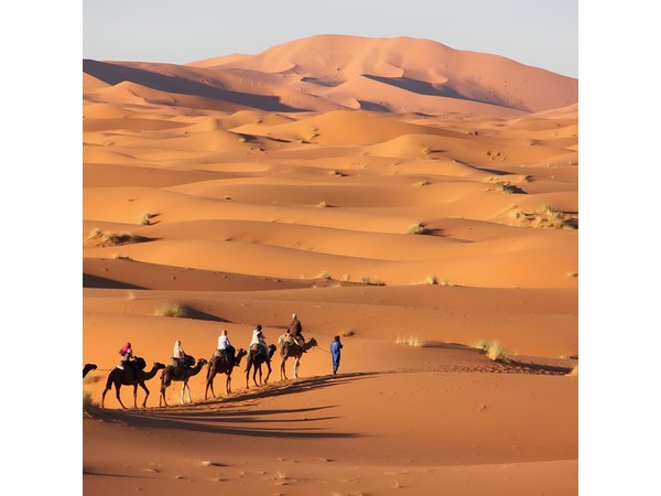 4 Days Marrakech to Fes