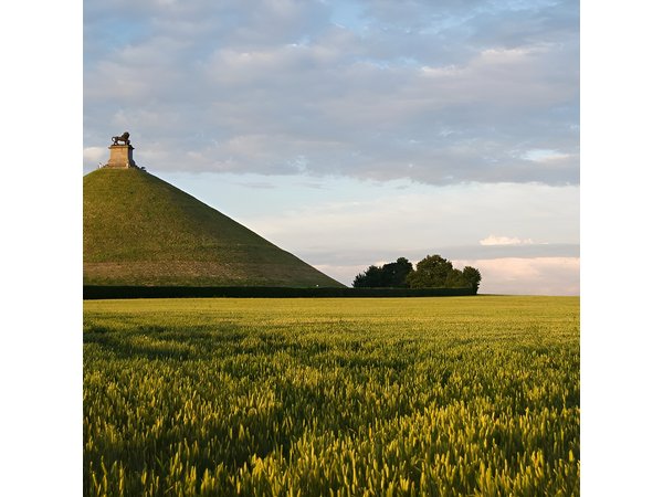 Waterloo Private Battlegrounds Tour with Lion Hill