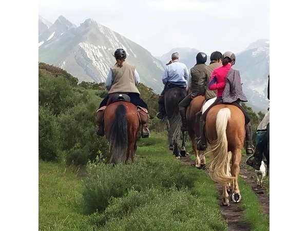 Horse Riding Madrid Natural Park