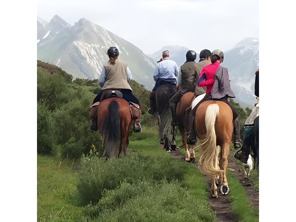 Horse Riding Madrid Natural Park (long Trip)