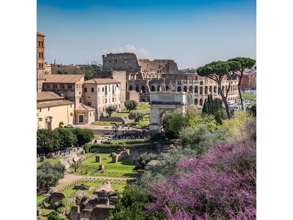 Private Rome in a Day Tour with Colosseum & Sistine Chapel: Essential Experience