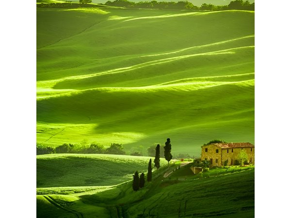 Private: Tuscany Day Tour from Rome with Optional Wine Tasting