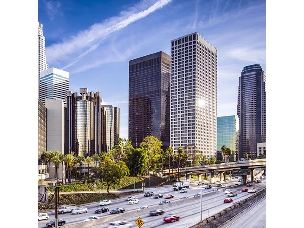 Los Angeles Half Day Private Tour