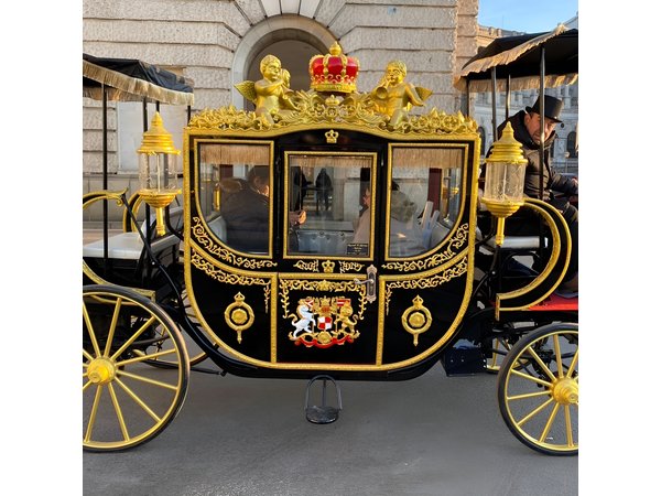 Vienna: 60 min. Imperial E-Carriage Sightseeing Tour with Drinks