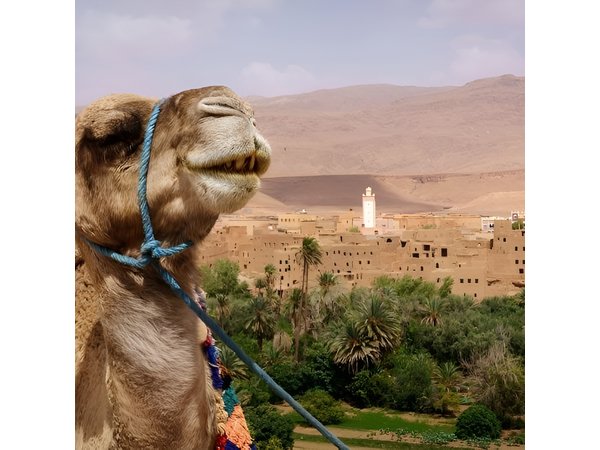 Ait ben haddou and Ouarzazate day trip from Marrakech