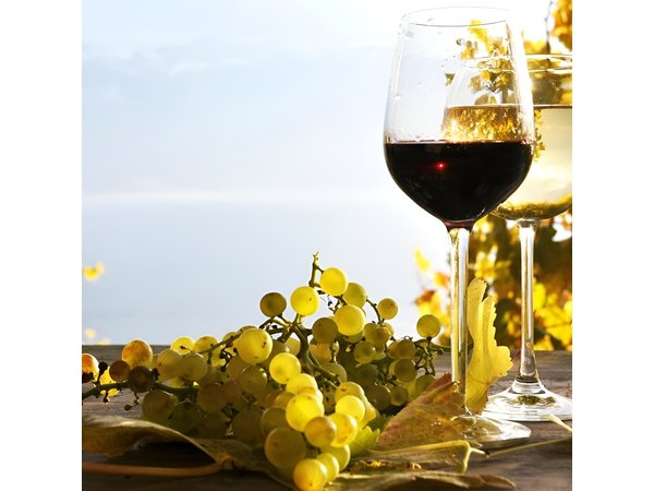Pompeii & Wine Tour from Sorrento (tickets & lunch not included)