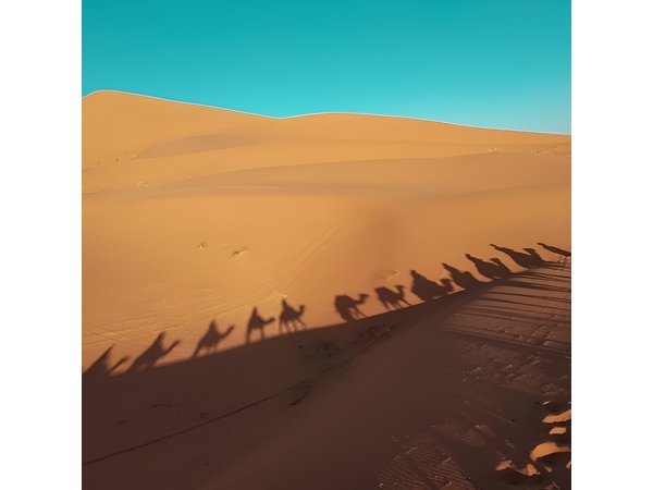 Marrakech to Fez via Merzouga Desert 3-Day Morocco Tour