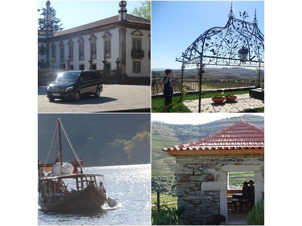 Douro Valley small group tour, Mateus Palace, Lunch and Wine tastings