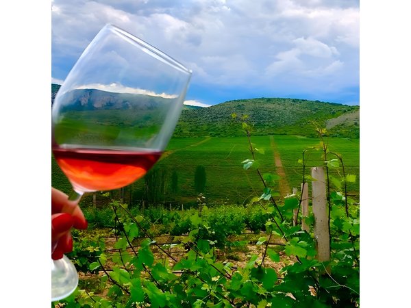 Private Wine Tour of Chateau Sopot Winery from Skopje