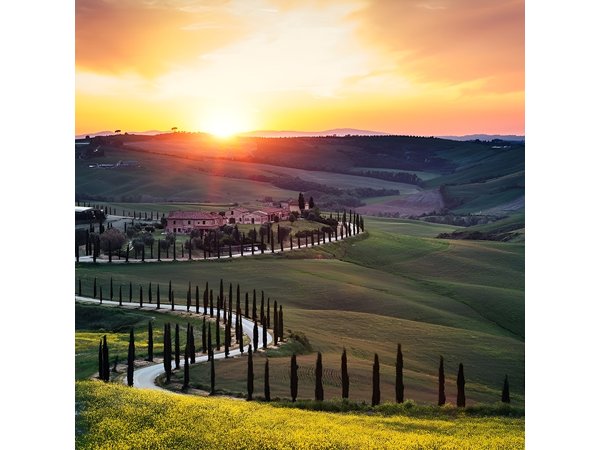 Tuscany Wine Tasting and Lunch Private Day Trip from Rome