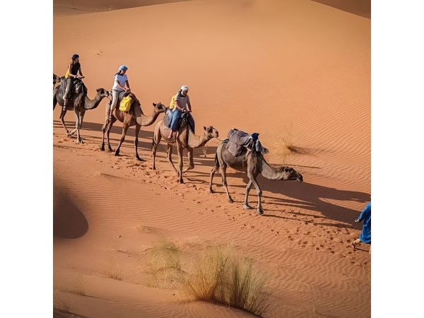 3 Days Marrakech To Fes Desert Tour Via Merzouga