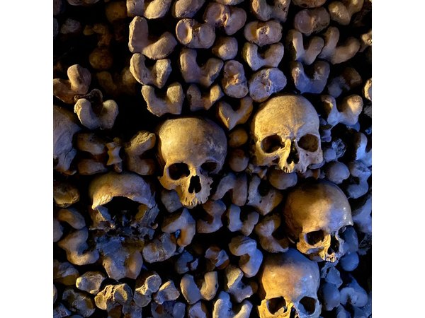 Paris Catacombs Semi-Private Max 6 People Guided Tour