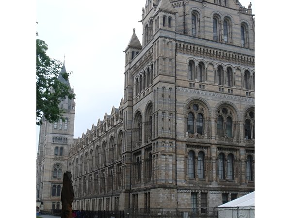 A Day at the Museum - Natural History Museum London