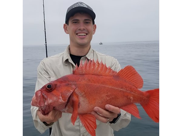 Private Half-Day San Diego Fishing Trip for up to 6 People