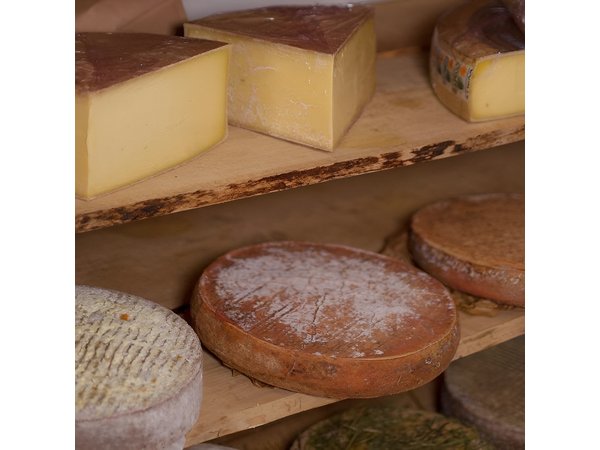 Paris Art of Pairing Cheese and Wine Tasting in a Cheese Cellar