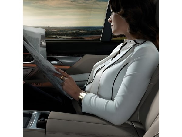 Transfers Private: Paris-Aéroports/Paris-Disneyland, France