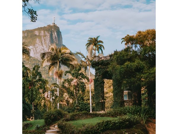 Rio de Janeiro Botanical Garden & Tijuca Forest Tour