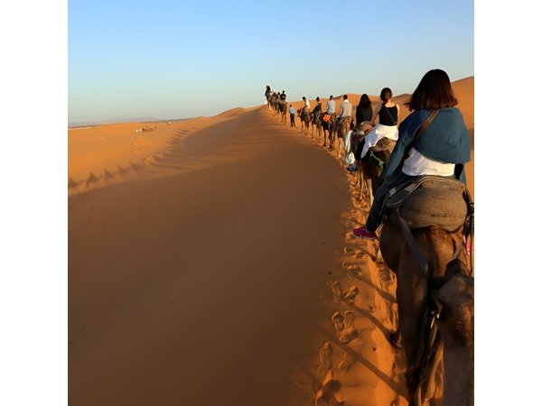 3 Days Desert Tour From Marrakech & Back, Share & private