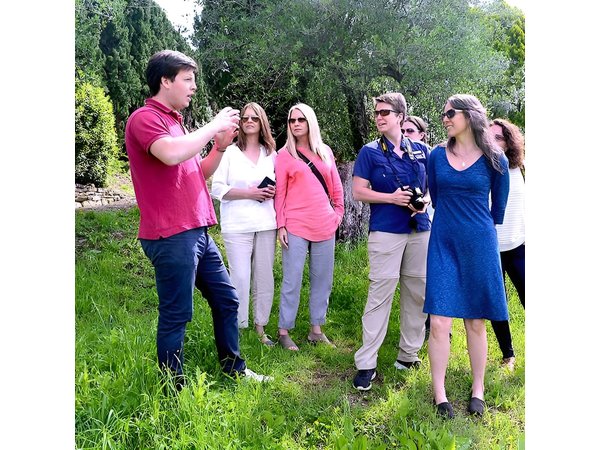 Full-Day Tuscany Castles Tour with Wine Tasting from Florence