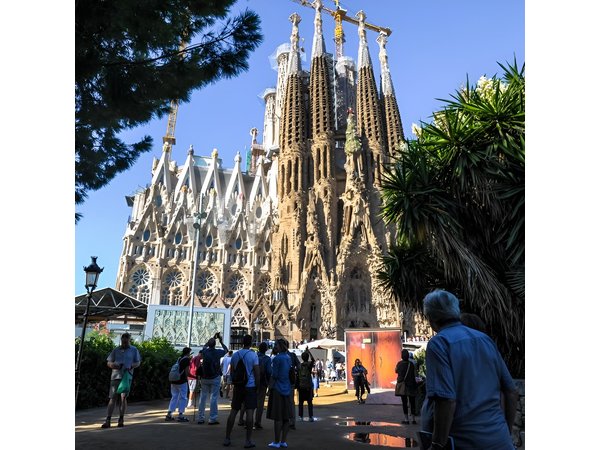Best of Barcelona Shore Excursion & Sagrada Familia Skip the Line