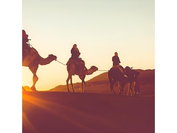 Luxury Overnight Sahara Desert trip fez Back to Fez or Marrakech