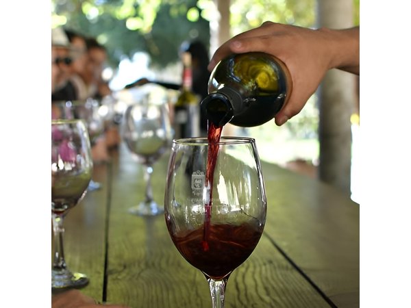 Grand Mexico Wine Country Tour from San Diego