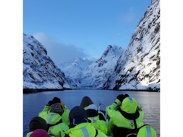 Trollfjord and Sea Eagle Safari Tour from Svolvaer