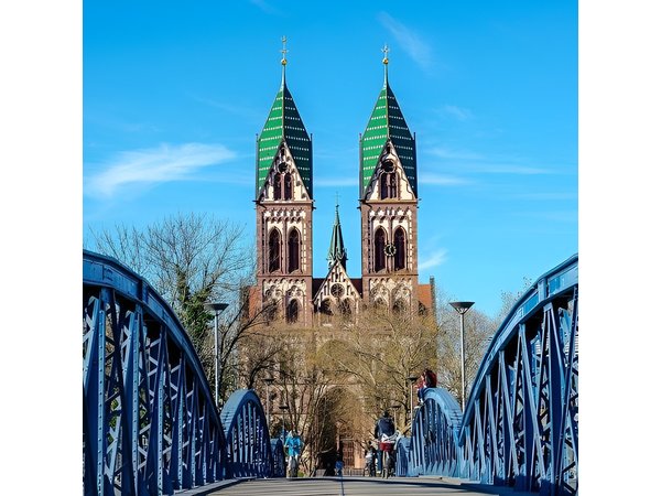 Freiburg im Breisgau Walking tour With A Professional Guide