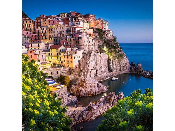 Private EASY Cinque Terre Accessible Tour from Livorno