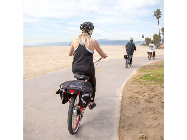 Small-Group Electric Bike Tour of Santa Monica and Venice Beach