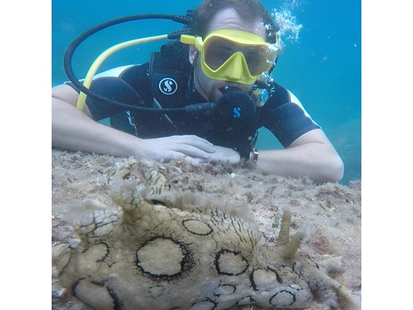 Scuba Diving Experience in Taormina