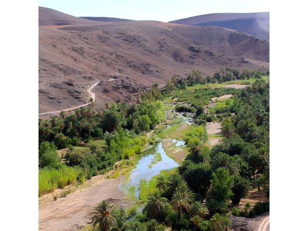 Desert, Atlas Mountains and Berber Villages Day Trip from Marrakech
