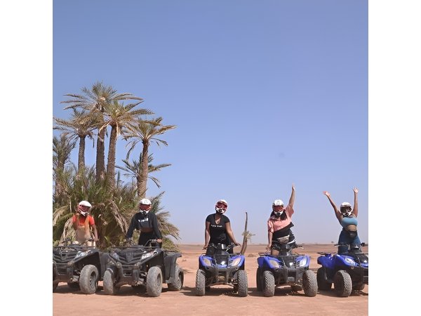 Enjoy a thrilling camel ride through the Palm Grove of Marrakech