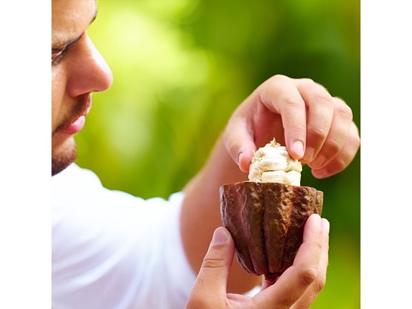 Chocolate Workshop. Private Tour from San Jose